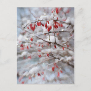 Red Berry Bush in Winter Painting Postcard