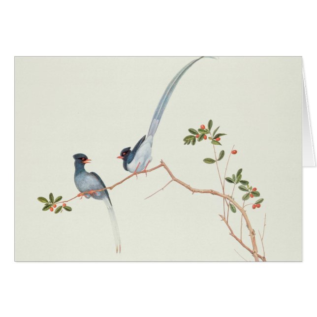 Red-billed blue magpies,a branch red berries (Front Horizontal)