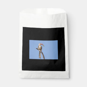 Red-billed Hornbill Favour Bags
