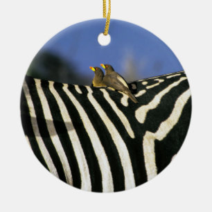 Red-billed oxpecker bird on a Zebra back- Zimbabwe Ceramic Tree Decoration