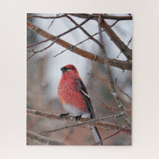 Red Bird in Winter Snow Jigsaw Puzzle