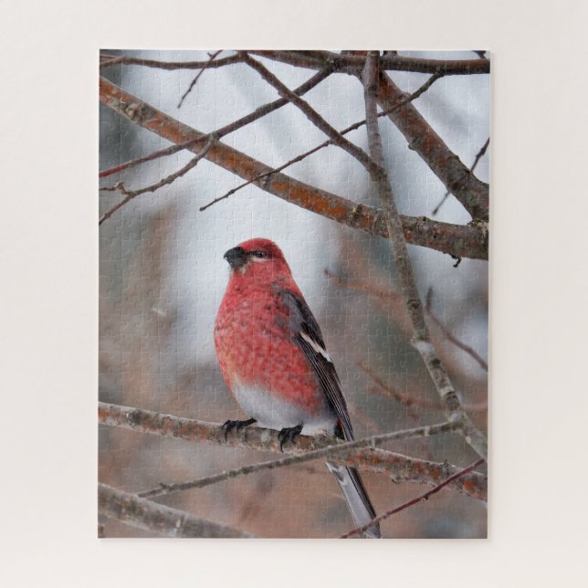 Red Bird in Winter Snow Jigsaw Puzzle (Vertical)