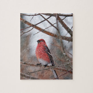Red Bird in Winter Snow Jigsaw Puzzle