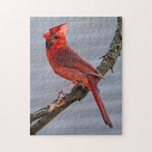 Red Bird of Summer Puzzle