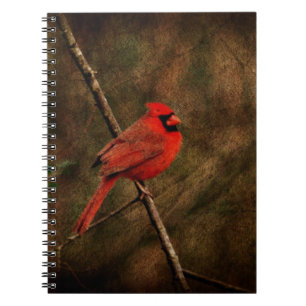 Red Bird Spiral Notebook