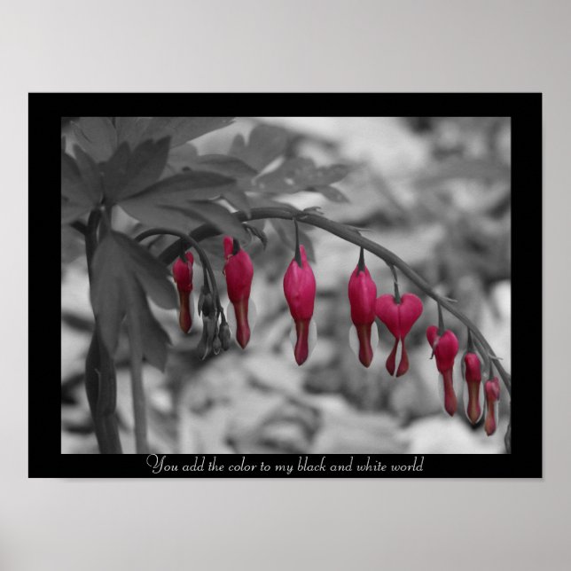 Red Bleeding Hearts Poster (Front)