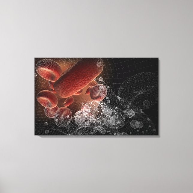 Red blood cells in wireframe canvas print (Front)