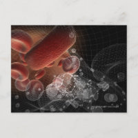 Red blood cells in wireframe