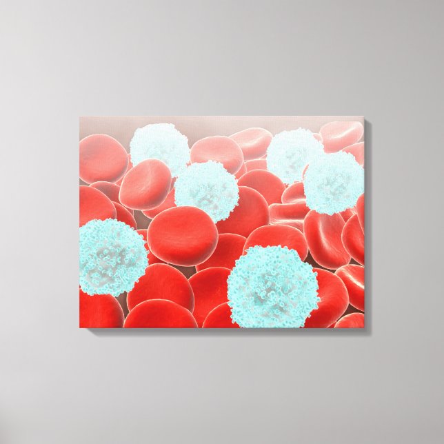 Red Blood Cells With White Blood Cells Canvas Print (Front)
