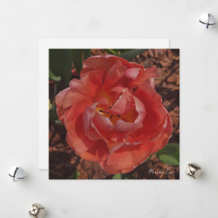 red blossom holiday card