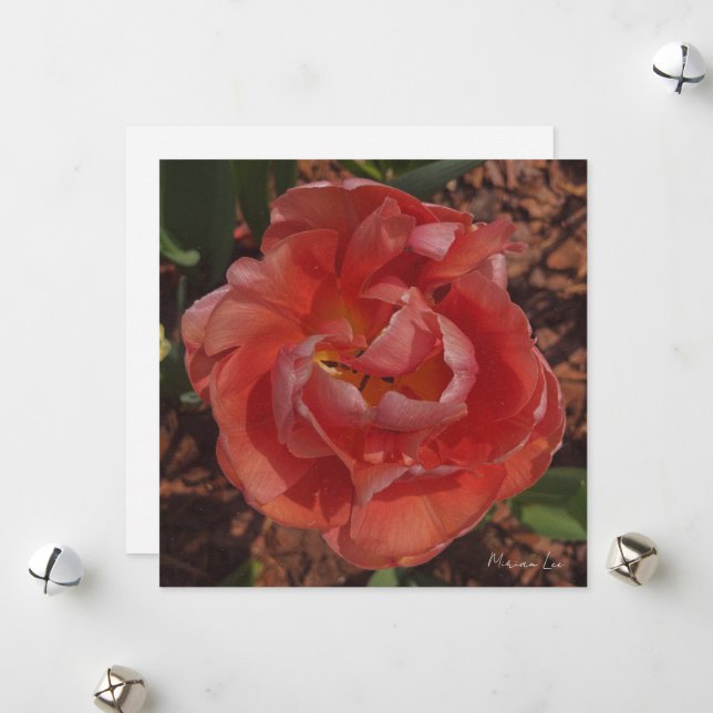 red blossom  holiday card (Front/Back In Situ)