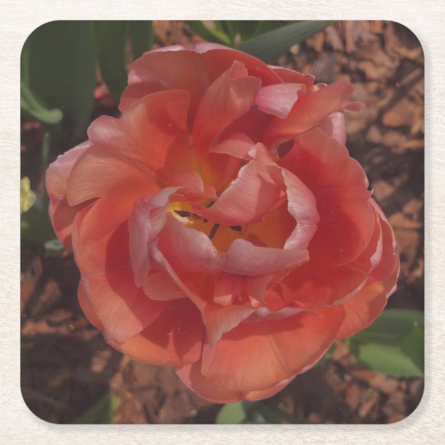 red blossom  square paper coaster (Front)