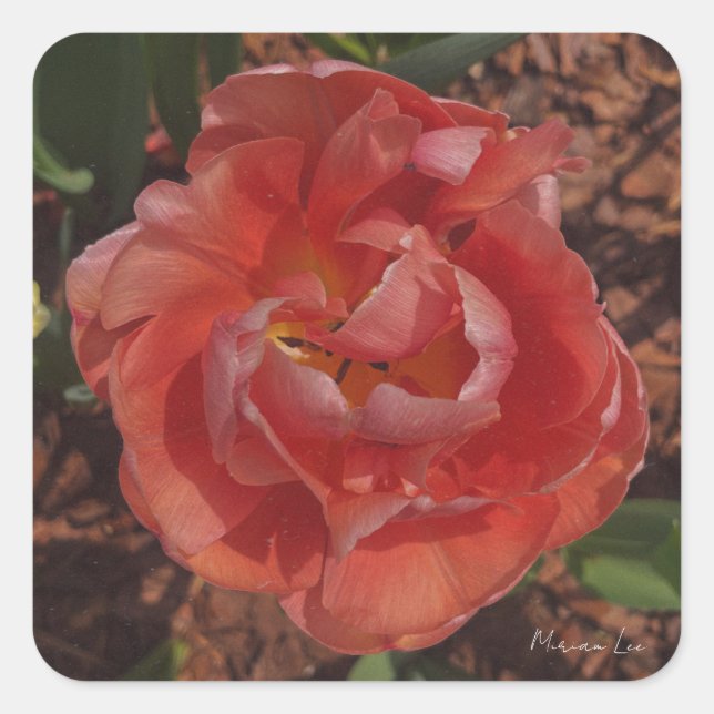 red blossom  square sticker (Front)