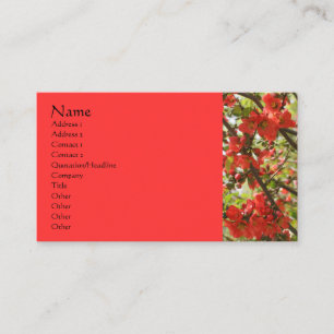 Red Blossoms Flower Photography Business Card