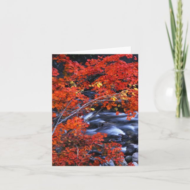 Red/Blue Landscape Card (Front)