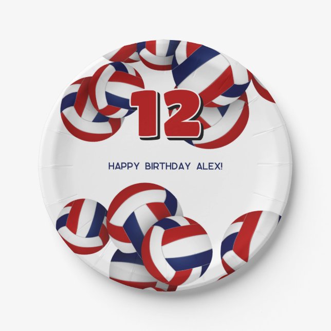 red blue volleyballs boys girls birthday party paper plate (Front)