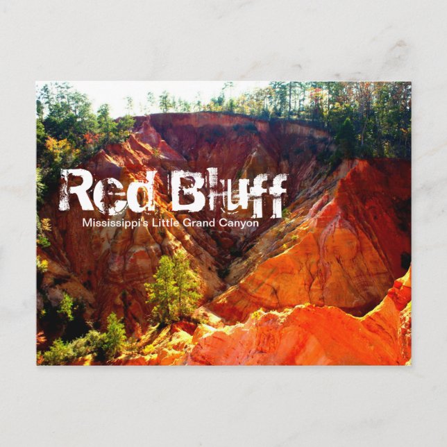 Red Bluff - Morgantown, MS Postcard (Front)
