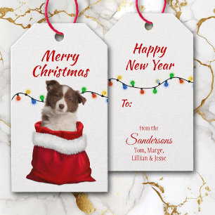 Red Border Collie Puppy in Santa Bag Gift Tags