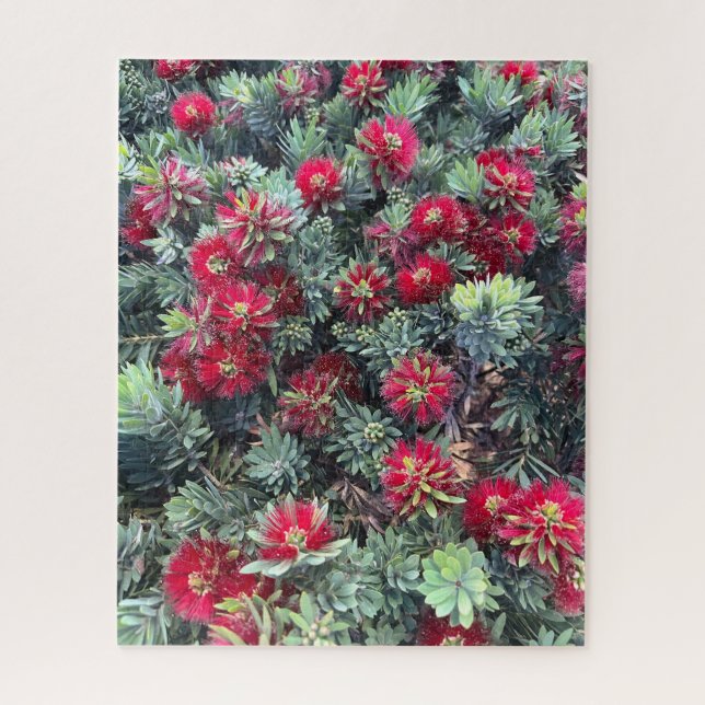 Red Bottlebrush, Chino Hills Jigsaw Puzzle (Vertical)