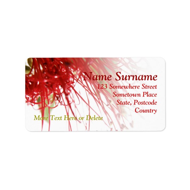 Red Bottlebrush Flower Address Label (Front)