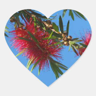 Red bottlebrush heart sticker