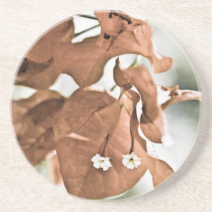 Red Bougainvillea Coaster