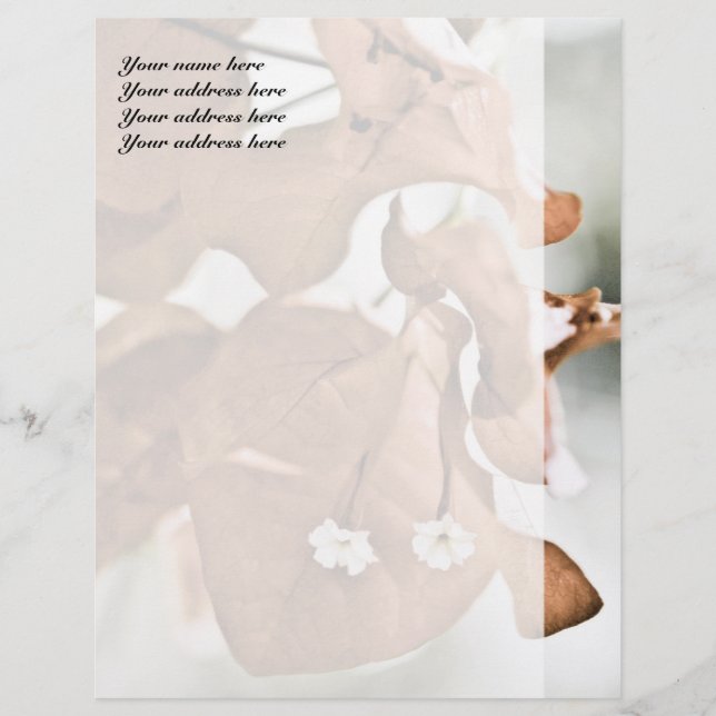 Red Bougainvillea Letterhead (Front)