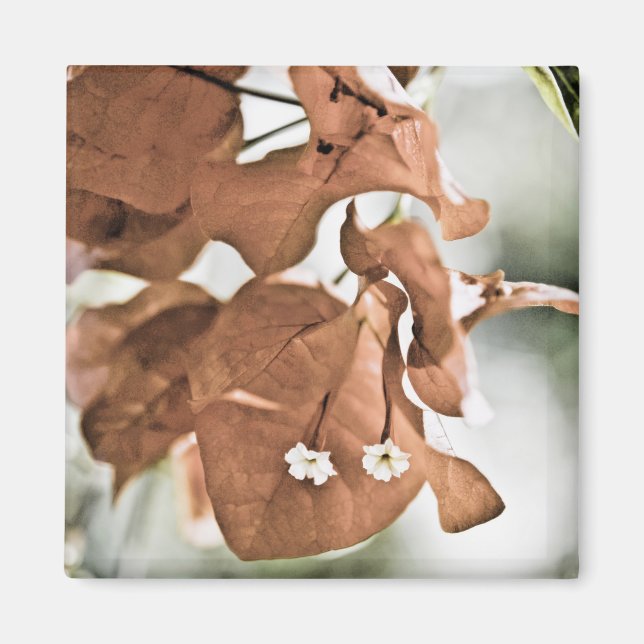 Red Bougainvillea Magnet (Front)