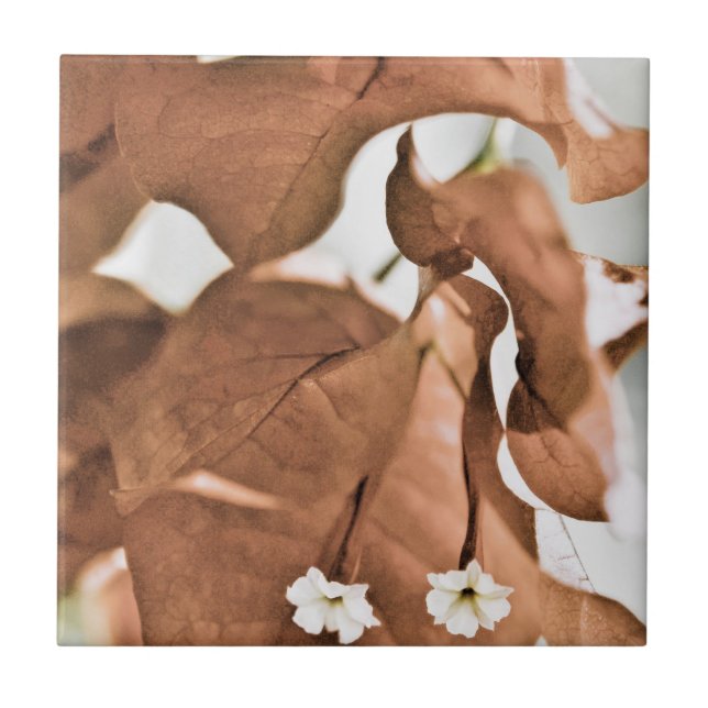 Red Bougainvillea Tile (Front)