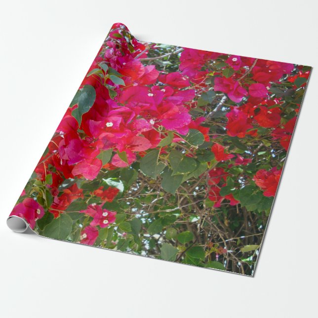 Red Bougainvillea, Wrapping Paper (Unrolled)