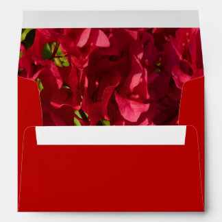 Red Bougainvilleas Red A7 Envelope