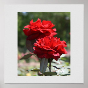 Red Bouquet Print