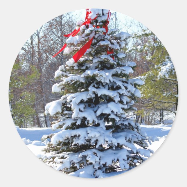 Red Bow Evergreen Classic Round Sticker (Front)