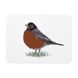 Red Breasted American Robin Digitally Drawn Bird Magnet
