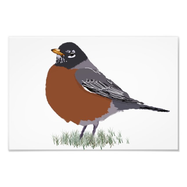Red Breasted American Robin Digitally Drawn Bird Photo Print (Front)