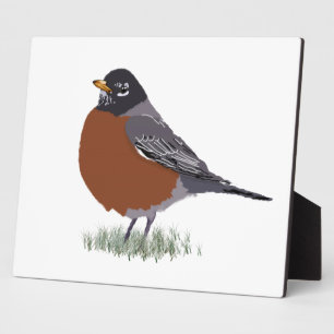 Red Breasted American Robin Digitally Drawn Bird Plaque