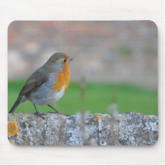 Red-breasted Flycatcher Mouse Pad