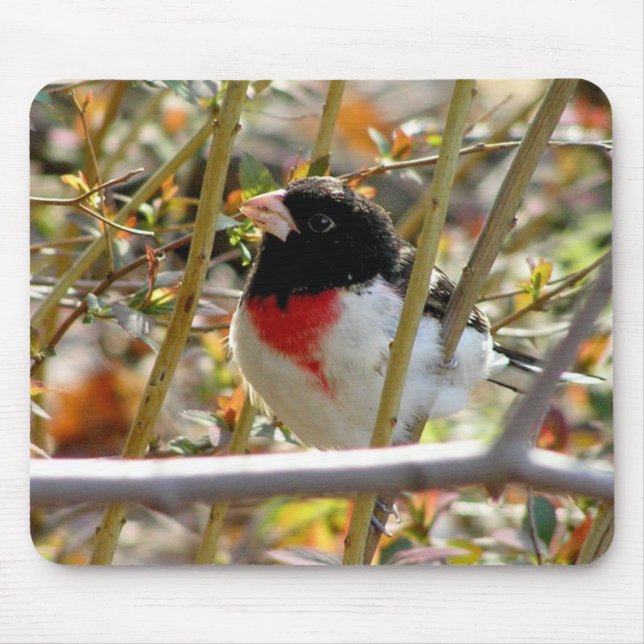 Red Breasted Grosbeak Mouse Pad (Front)