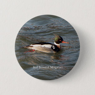Red Breasted Merganser button