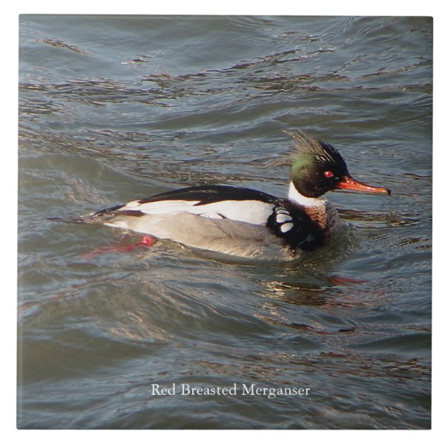 Red Breasted Merganser tile (Front)