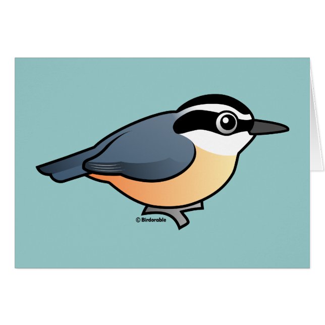 Red-breasted Nuthatch (Front Horizontal)