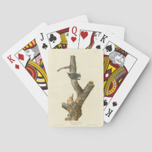 Red-breasted Nuthatch - Audubon's Birds of America Playing Cards