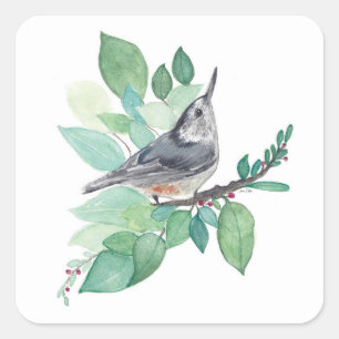Red Breasted Nuthatch Bird Square Sticker