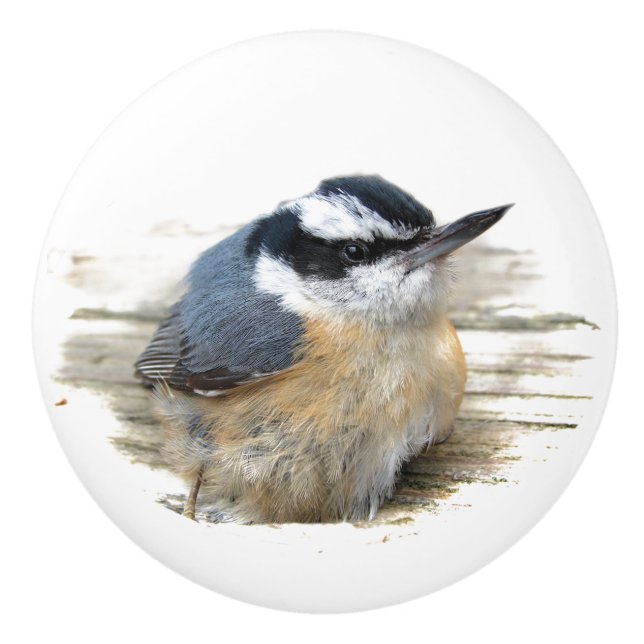 Red-breasted Nuthatch Ceramic Knob (Front)
