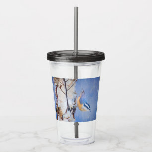 Red-Breasted Nuthatch Painting Original Bird Art Acrylic Tumbler