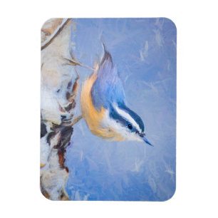 Red-Breasted Nuthatch Painting Original Bird Art Magnet