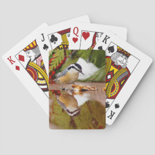 Red-breasted Nuthatch Playing Cards