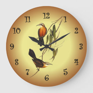 Red-breasted Pomatorhinus ~ Elizabeth Gould 01 V4 Large Clock