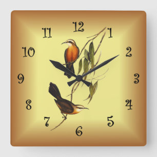 Red-breasted Pomatorhinus ~ Elizabeth Gould 01 V4  Square Wall Clock