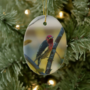 Red-breasted Sapsucker Holiday Gift Ceramic Tree Decoration